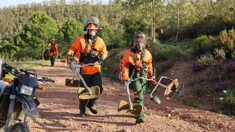 El Infoex desbroza unas 2.200 hectáreas cada año en labores de prevención de incendios forestales El Infoex desbroza unas 2.200 hectáreas cada año en labores de prevención de incendios forestales
