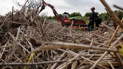 Búsqueda de desaparecidos de la DANA de València en el término municipal de Riba-roja de Túria Búsqueda de desaparecidos de la DANA de València en el término municipal de Riba-roja de Túria