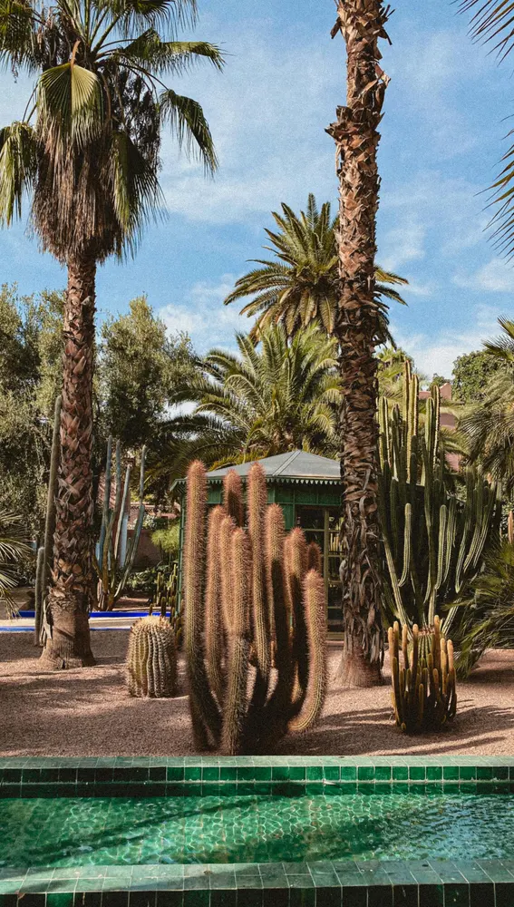 Jardines de Marrakech Jardines de Marrakech