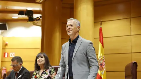 El expresidente del Senado Ander Gil deja la política para fichar por la consultora Llorente y Cuenca El expresidente del Senado Ánder Gil durante una sesión plenaria