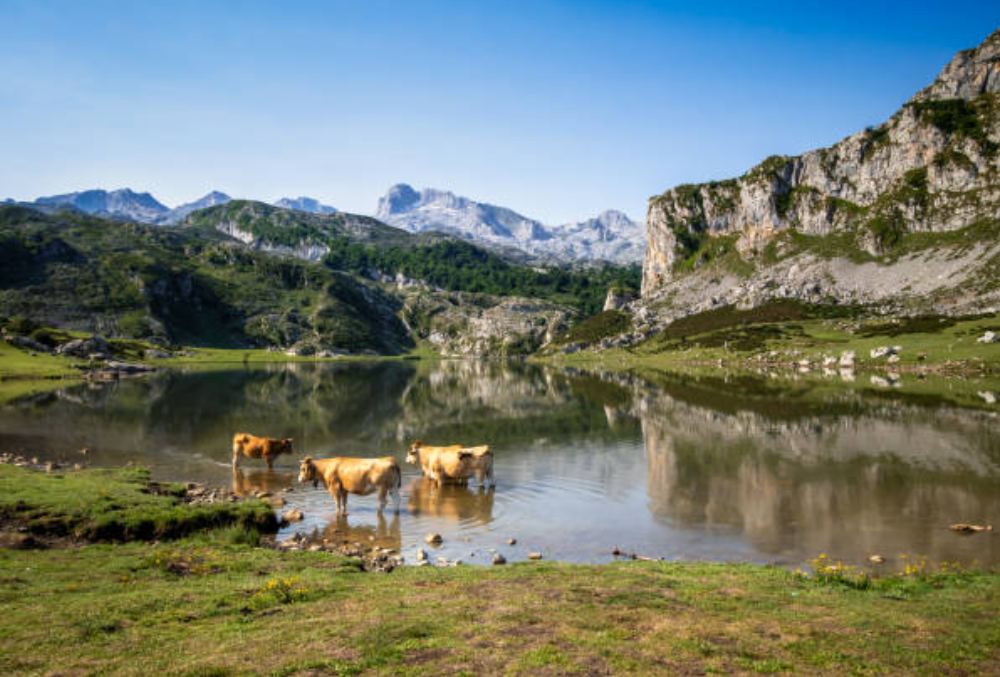 No todo es procesión: las 10 mejores escapadas rurales para desconectar esta Semana Santa en España No todo es procesión: las 10 mejores escapadas rurales para desconectar esta Semana Santa en España
