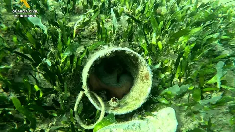 Una de las trampas para pulpos Una de las trampas para pulpos