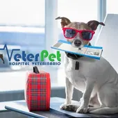 Cada martes en 'Más de uno Vega Baja' el adiestrador y psicólogo canino Ángel Osuna nos orienta en el cuidado y bienestar de nuestro perro Cada martes en 'Más de uno Vega Baja' el adiestrador y psicólogo canino Ángel Osuna nos orienta en el cuidado y bienestar de nuestro perro