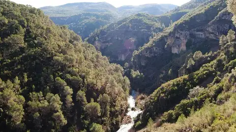 Medio Ambiente prohíbe el uso del fuego en terrenos forestales durante la Semana Santa y Pascua Medio Ambiente prohíbe el uso del fuego en terrenos forestales durante la Semana Santa y Pascua