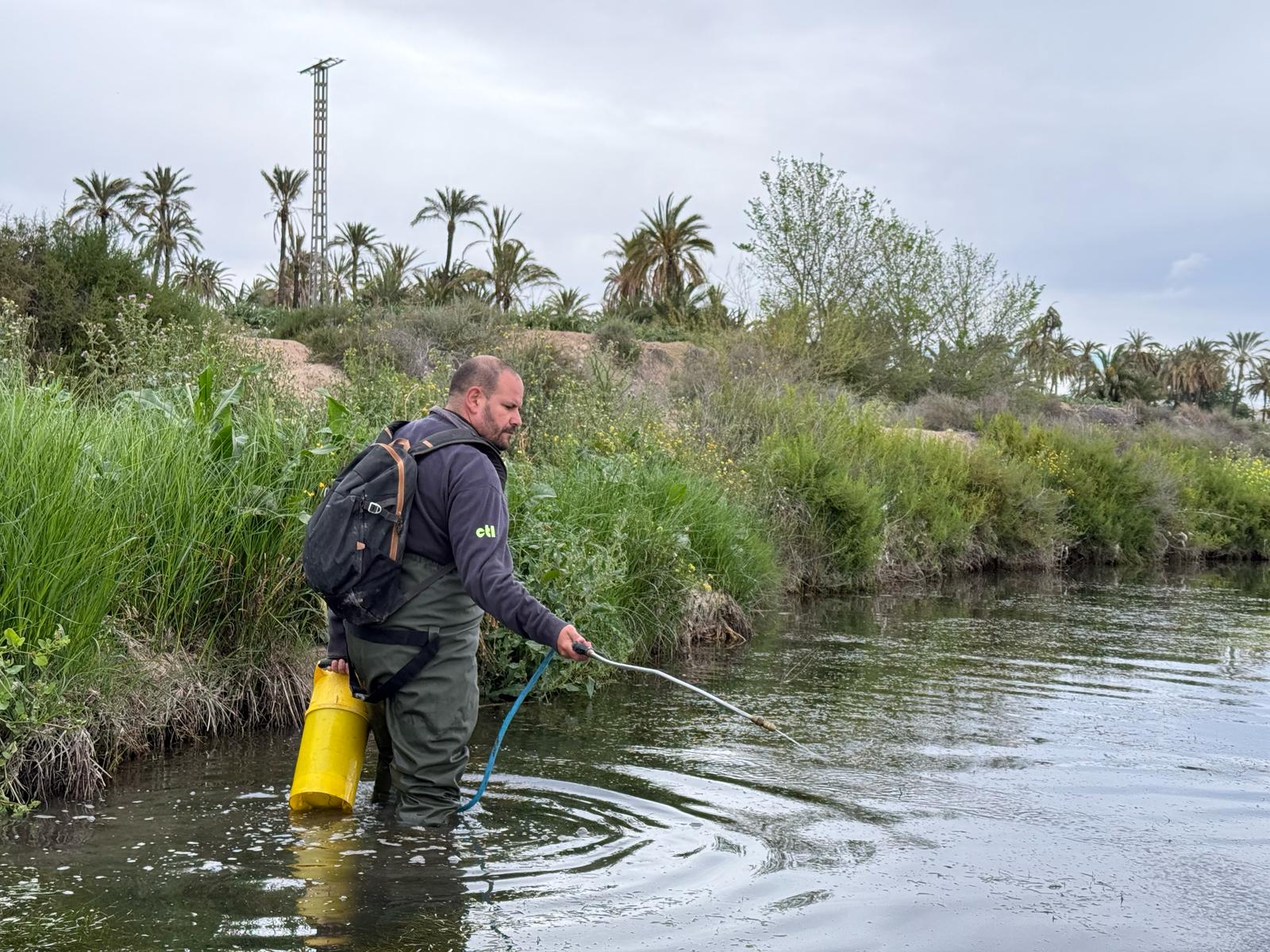Elche intensifica la fumigación para frenar la proliferación de mosquitos Elche intensifica la fumigación para frenar la proliferación de mosquitos