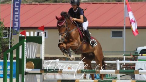 El Centro Ecuestre de Castilla y Le&oacute;n en Segovia