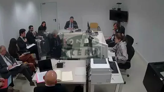 Carmen Pano declaró ante el juez Santiago Pedraz que entregó 90.000 euros en Ferraz por orden de Víctor de Aldama Carmen Pano declaró ante el juez Santiago Pedraz que entregó 90.000 euros en Ferraz por orden de Víctor de Aldama
