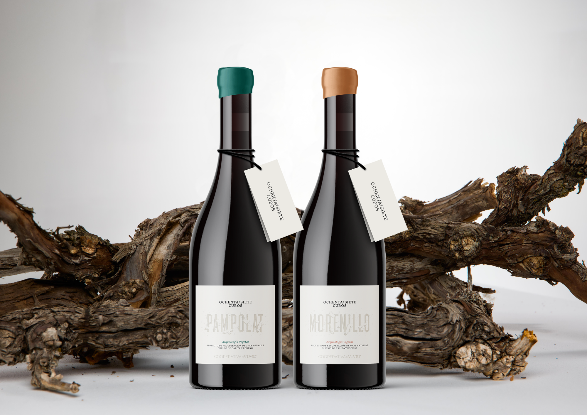 Arqueología vegetal para 'Ochenta y siete cubos', los nuevos vinos de la Cooperativa de Viver Arqueología vegetal para 'Ochenta y siete cubos', los nuevos vinos de la Cooperativa de Viver