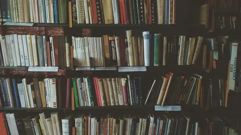 La oposición para la que solo piden el bachillerato y con la que ganarás 1.500 euros al mes Imagen de vídeos organizados por secciones en una biblioteca