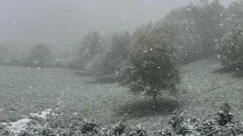 Nieva en A Fonsagrada onda cero