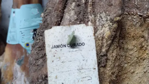 La Guardia Civil investiga al dueño de un almacén clandestino de carne ubicado en la zona de Santiago con alimentos caducados y en estado de descomposición La Guardia Civil investiga al dueño de un almacén clandestino de carne ubicado en la zona de Santiago con alimentos caducados y en estado de descomposición