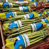 La XXIII Feria del Espárrago de Sierra de Yeguas crece con unas jornadas profesionales y la Ruta Europea del Queso La XXIII Feria del Espárrago de Sierra de Yeguas crece con unas jornadas profesionales y la Ruta Europea del Queso