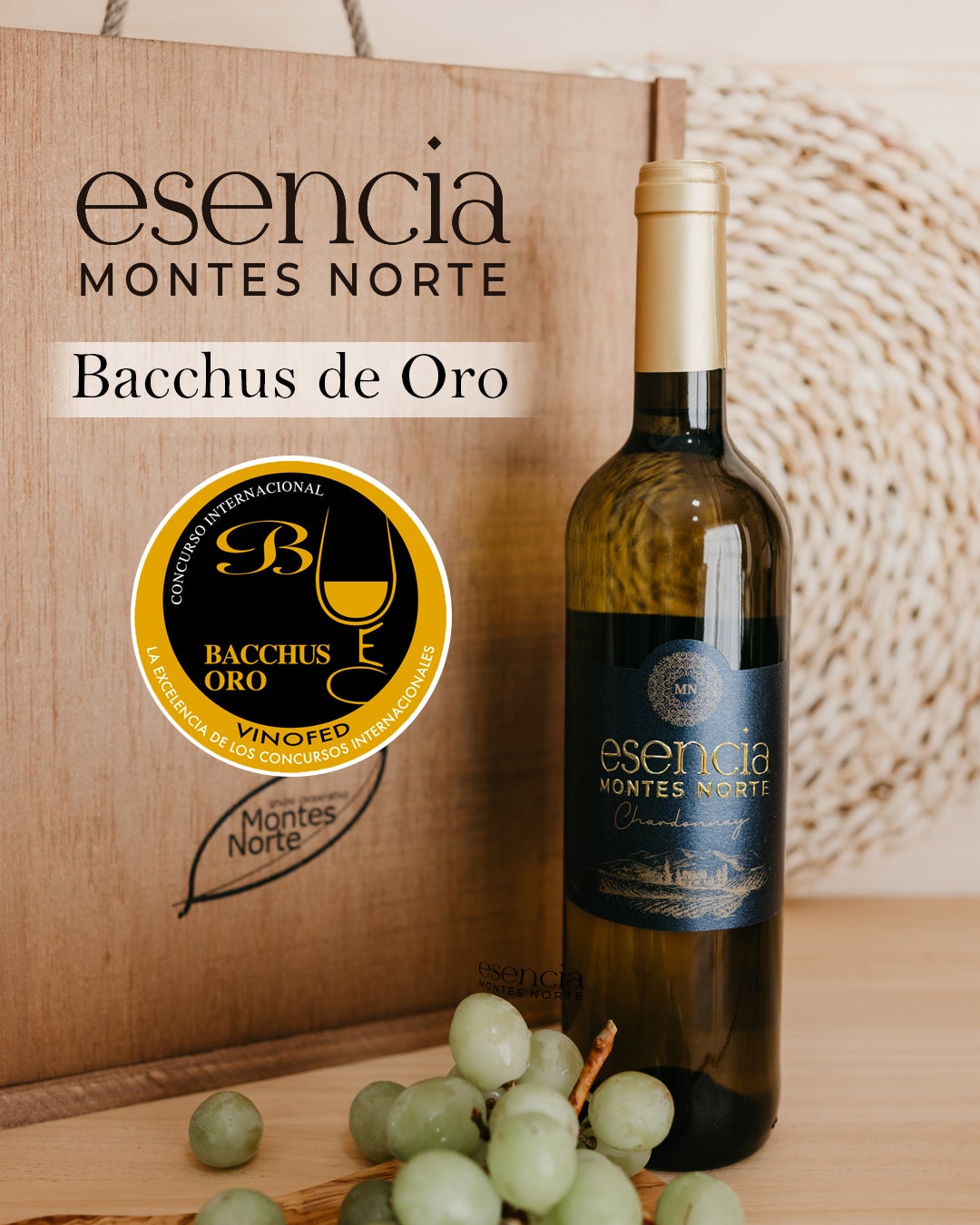 Esencia Montes Norte Chardonnay premiado en el Concurso Internacional Bacchus 2025 Esencia Montes Norte Chardonnay premiado en el Concurso Internacional Bacchus 2025