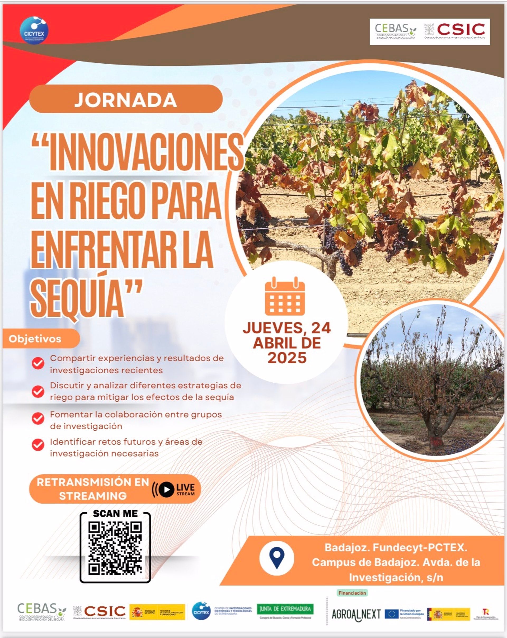 Cicytex y Cebas-Csic organizan en Badajoz una jornada sobre 'Innovaciones en riego para enfrentar la sequía' Cicytex y Cebas-Csic organizan en Badajoz una jornada sobre 'Innovaciones en riego para enfrentar la sequía'