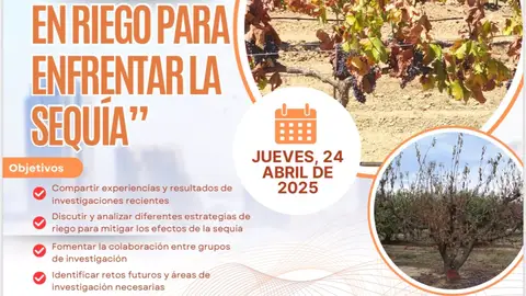 Cicytex y Cebas-Csic organizan en Badajoz una jornada sobre 'Innovaciones en riego para enfrentar la sequía' Cicytex y Cebas-Csic organizan en Badajoz una jornada sobre 'Innovaciones en riego para enfrentar la sequía'