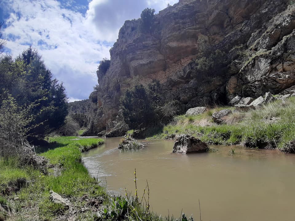 Se constituye una plataforma ciudadana para paralizar 5 granjas avícolas en el valle del Mesa Se constituye una plataforma ciudadana para paralizar 5 granjas avícolas en el valle del Mesa