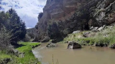 Se constituye una plataforma ciudadana para paralizar 5 granjas avícolas en el valle del Mesa Se constituye una plataforma ciudadana para paralizar 5 granjas avícolas en el valle del Mesa