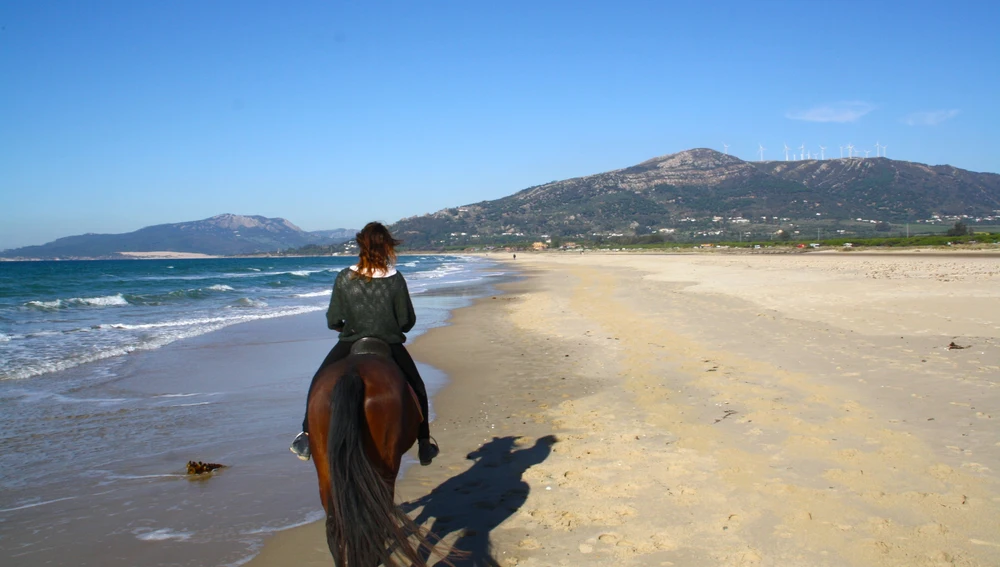 Paseo por la playa a caballo Paseo por la playa a caballo