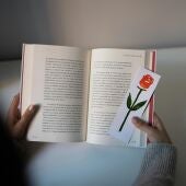 Foto de archivo de Sant Jordi