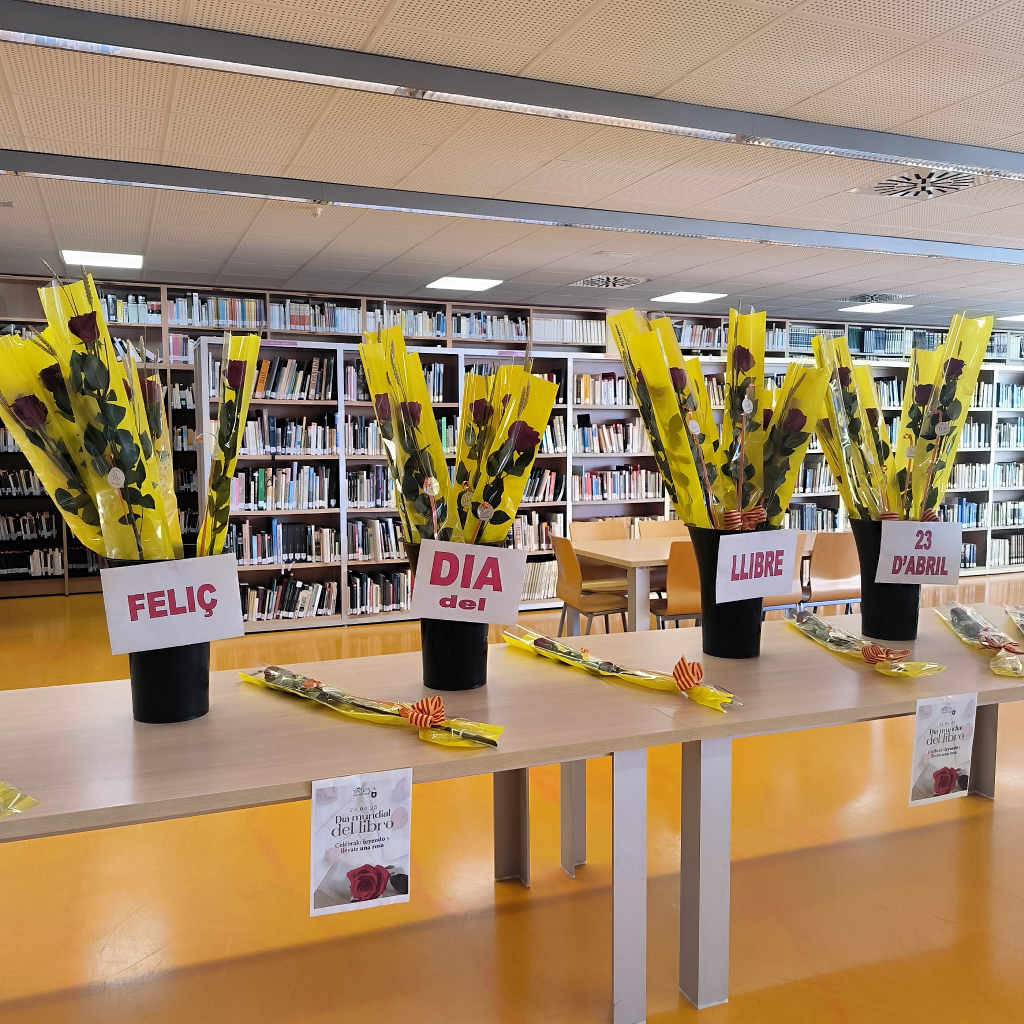 Regalo de rosas rojas en la Biblioteca Infantil de Peñíscola por el Día del Libro Regalo de rosas rojas en la Biblioteca Infantil de Peñíscola por el Día del Libro