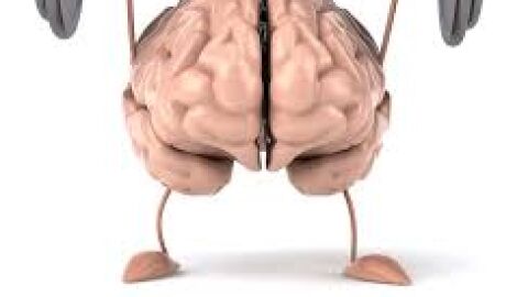 Entrena tu mente Entrena tu mente