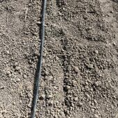 El apagón causa problemas en el sector agrario con animales sin ordeñar y cultivos recién trasplantados sin el riego necesario