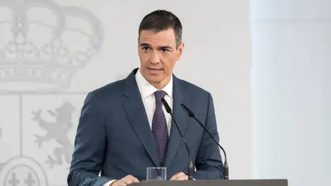 Cuál es la causa del apagón: las discrepancias entre el Gobierno y Red Eléctrica Española El presidente del Gobierno, Pedro Sánchez