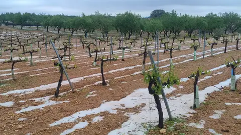 Quintanar del Rey, horas después de la fuerte tormenta de granizo Quintanar del Rey, horas después de la fuerte tormenta de granizo