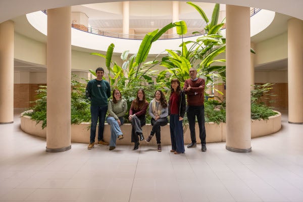 L’UJI prova amb eficàcia molècules capaces de millorar la immunitat o reduir la inflamació de l’ecosistema tumoral i bloquejar el creixement de cèl·lules canceroses L’UJI prova amb eficàcia molècules capaces de millorar la immunitat o reduir la inflamació de l’ecosistema tumoral i bloquejar el creixement de cèl·lules canceroses