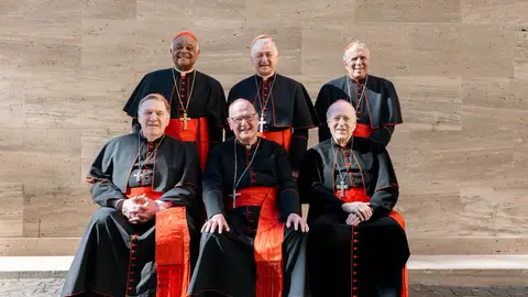 Los cardenales estadounidenses Wilton Gregory, Blase Cupich, Daniel DiNardo, Joseph Tobin, Timothy Dolan y Robert McElroy. Los cardenales estadounidenses Wilton Gregory, Blase Cupich, Daniel DiNardo, Joseph Tobin, Timothy Dolan y Robert McElroy.