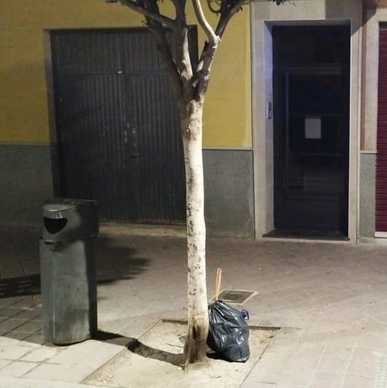 Bajar la basura en la víspera del 1 de mayo reporta multa a veinte vecinos de Aspe Bajar la basura en la víspera del 1 de mayo reporta multa a veinte vecinos de Aspe