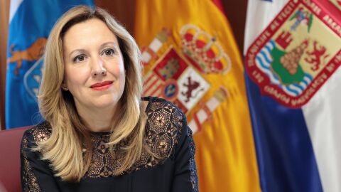 Rosa D&aacute;vila, presidenta del Cabildo de Tenerife