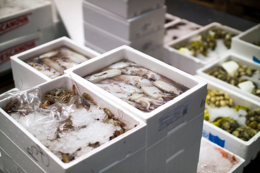 El pescado: cae su consumo sin conocer sus beneficios El pescado: cae su consumo sin conocer sus beneficios