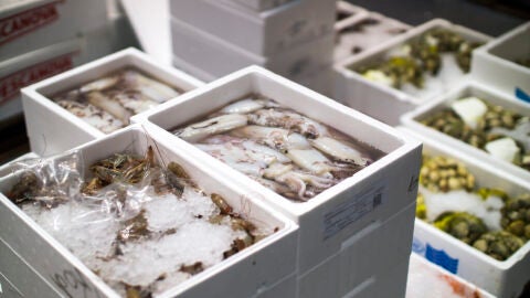 Cajas de pescado en Mercazaragoza Cajas de pescado en Mercazaragoza