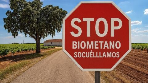La manifestación está convocada por una plataforma ciudadana La manifestación está convocada por una plataforma ciudadana