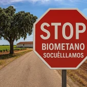 La manifestación está convocada por una plataforma ciudadana La manifestación está convocada por una plataforma ciudadana