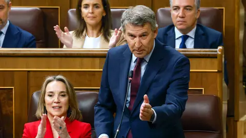 Alberto Núñez Feijóo durante la sesión de control al Gobierno en el Congreso de los Diputados el 14 de mayo de 2025 Alberto Núñez Feijóo durante la sesión de control al Gobierno en el Congreso de los Diputados el 14 de mayo de 2025