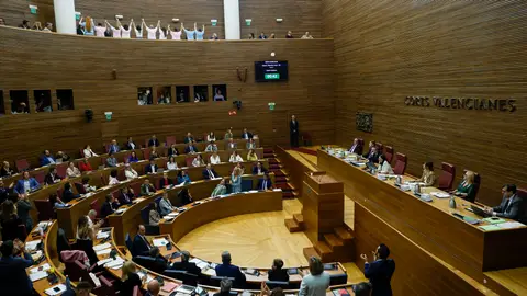 Imagen de la sesión de control este jueves al president de la Generalitat, Carlos Mazón, interrumpida por representantes del colectivo LGTBI. Imagen de la sesión de control este jueves al president de la Generalitat, Carlos Mazón, interrumpida por representantes del colectivo LGTBI.