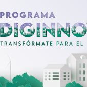 Programa Diginnova