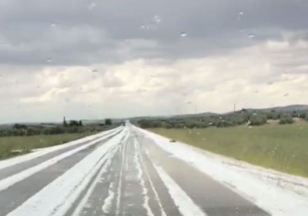 El granizo causa importantes daños en cultivos de Moral de Calatrava y Valdepeñas El granizo causa importantes daños en cultivos de Moral de Calatrava y Valdepeñas