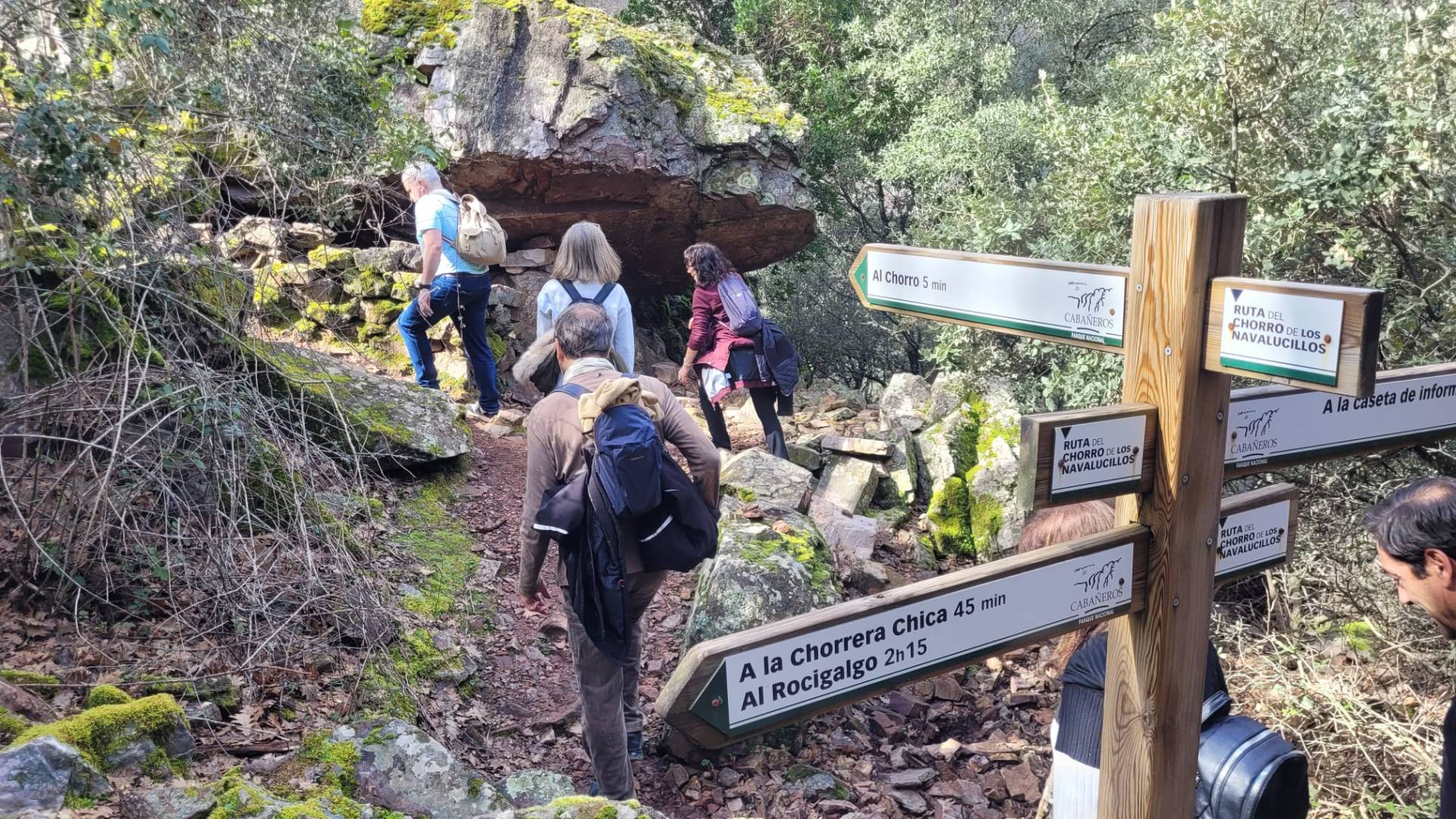 Este fin de semana se celebra el 'Festival Cabañeros Respira Bosque Mediterráneo' Este fin de semana se celebra el 'Festival Cabañeros Respira Bosque Mediterráneo'