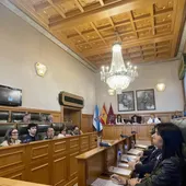 El pleno municipal compostelano formalizado el paso a no adscritos de los cuatro concejales expulsados del PSOE de Santiago El pleno municipal compostelano formalizado el paso a no adscritos de los cuatro concejales expulsados del PSOE de Santiago