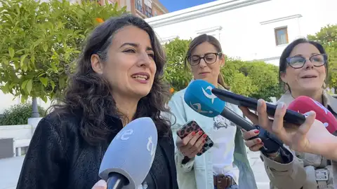 Unidas asegura que no habrá declaración institucional contra la LGTBIfobia porque Vox "no ha querido firmarla" Unidas asegura que no habrá declaración institucional contra la LGTBIfobia porque Vox "no ha querido firmarla"