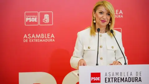 El PSOE en Extremadura remarca que el PP sólo propuso firmar un manifiesto por el colectivo LGTBI y no una declaración El PSOE en Extremadura remarca que el PP sólo propuso firmar un manifiesto por el colectivo LGTBI y no una declaración