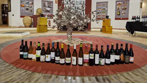 XI edición de la jornada de enólogos de la DO Utiel-Requena XI edición de la jornada de enólogos de la DO Utiel-Requena