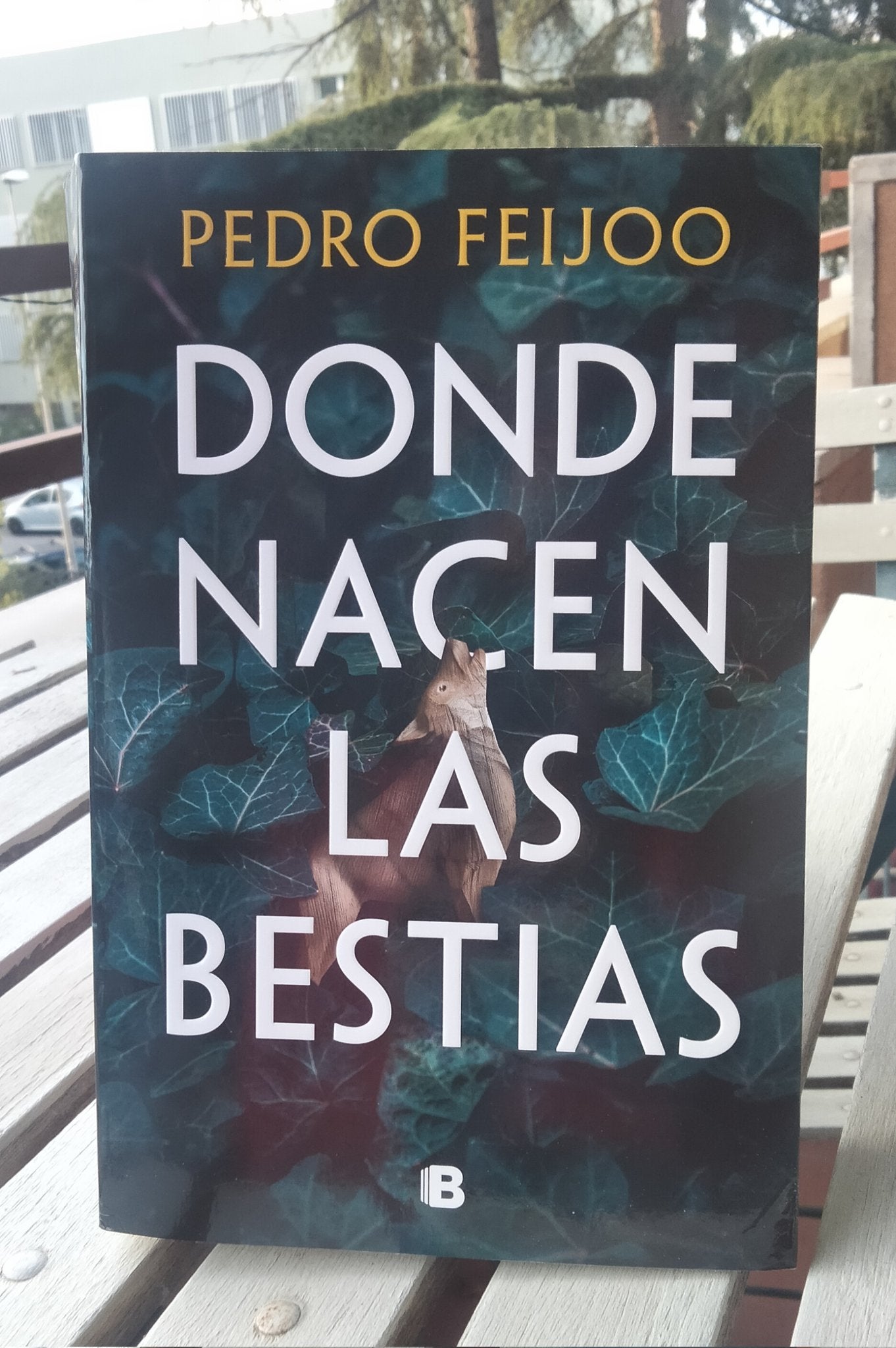 Romasanta, el hombre lobo de Allariz inspira la novela "Donde nacen las bestias" Romasanta, el hombre lobo de Allariz inspira la novela "Donde nacen las bestias"