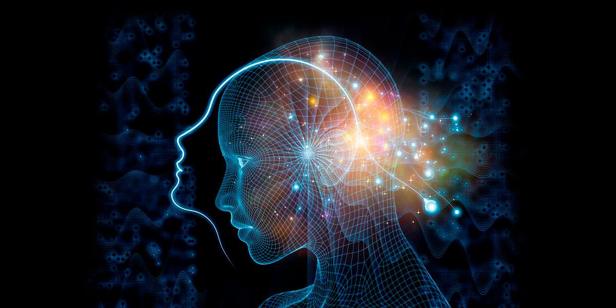 La ciencia descubre que los seres vivo emiten brillo La ciencia descubre que los seres vivo emiten brillo