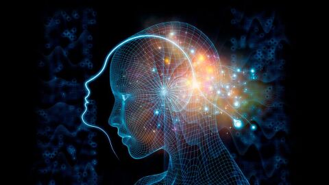 C&eacute;lulas que brillan 