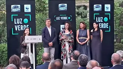 Premios Luz Verde Premios Luz Verde