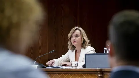 La ministra, Pilar Alegría, durante su comparecencia en la comisión Koldo en el Senado La ministra, Pilar Alegría, durante su comparecencia en la comisión Koldo en el Senado/ A. Pérez Meca / Europa Press